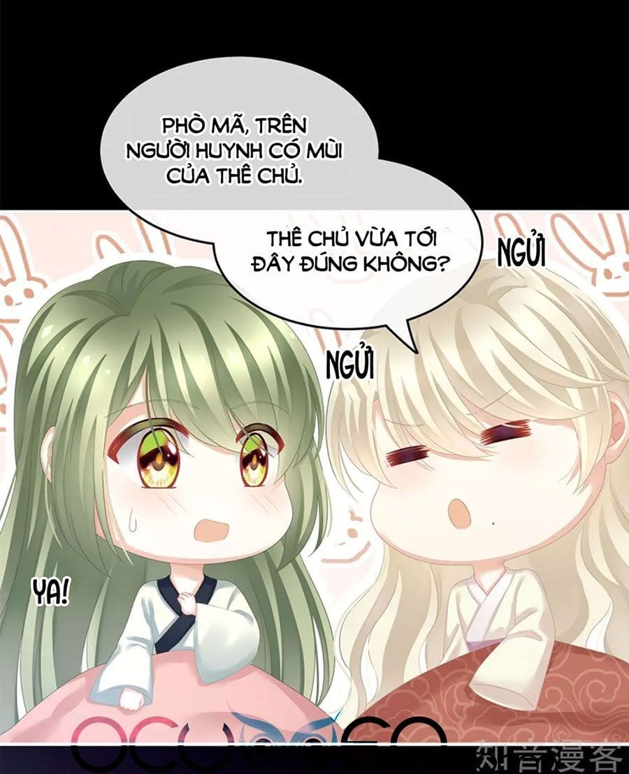 đọc truyện Hậu Cung Của Nữ Đế Chương 144 ảnh 8 tại Thiên Thai Truyện