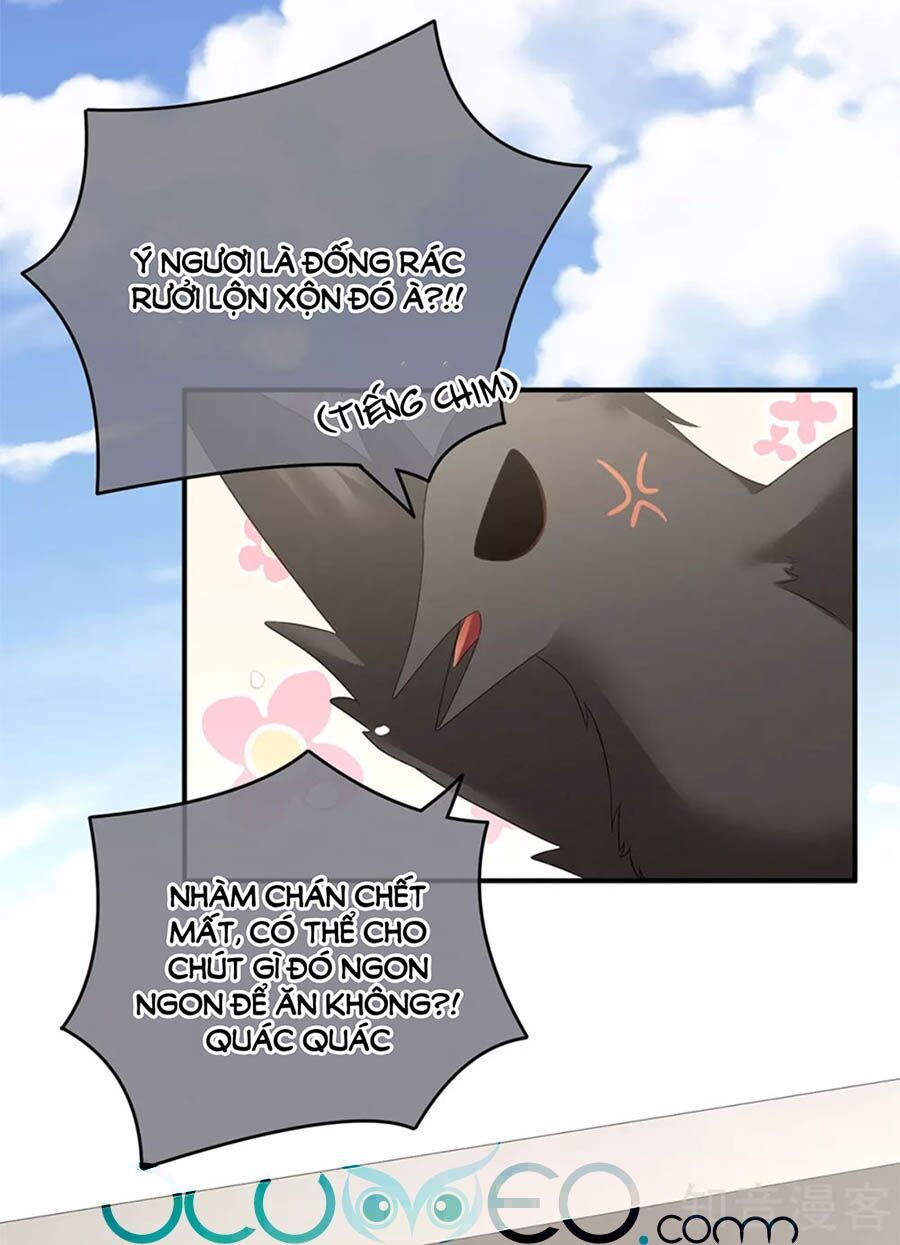 đọc truyện Hậu Cung Của Nữ Đế Chương 149 ảnh 35 tại Thiên Thai Truyện