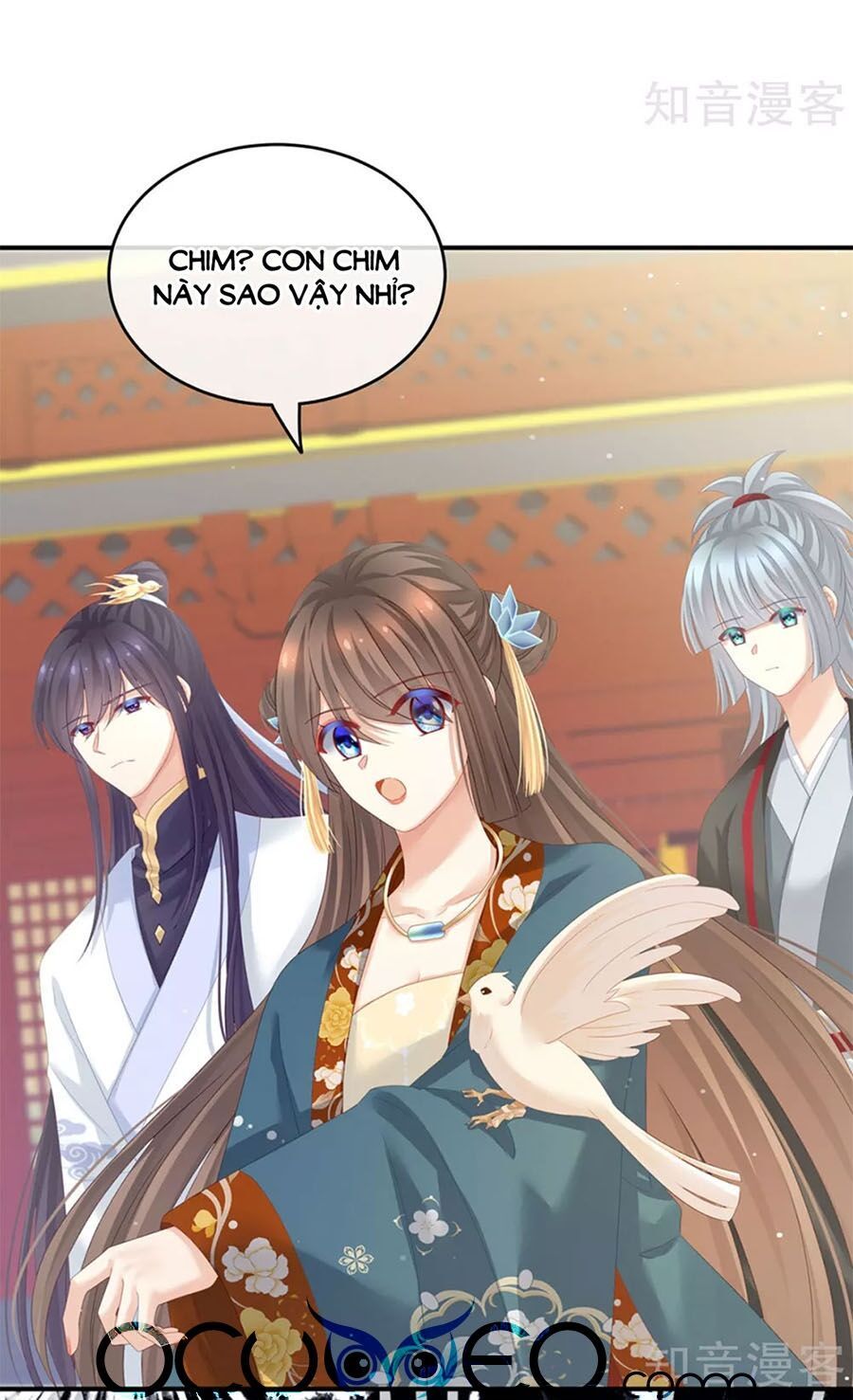 đọc truyện Hậu Cung Của Nữ Đế Chương 154 ảnh 14 tại Thiên Thai Truyện