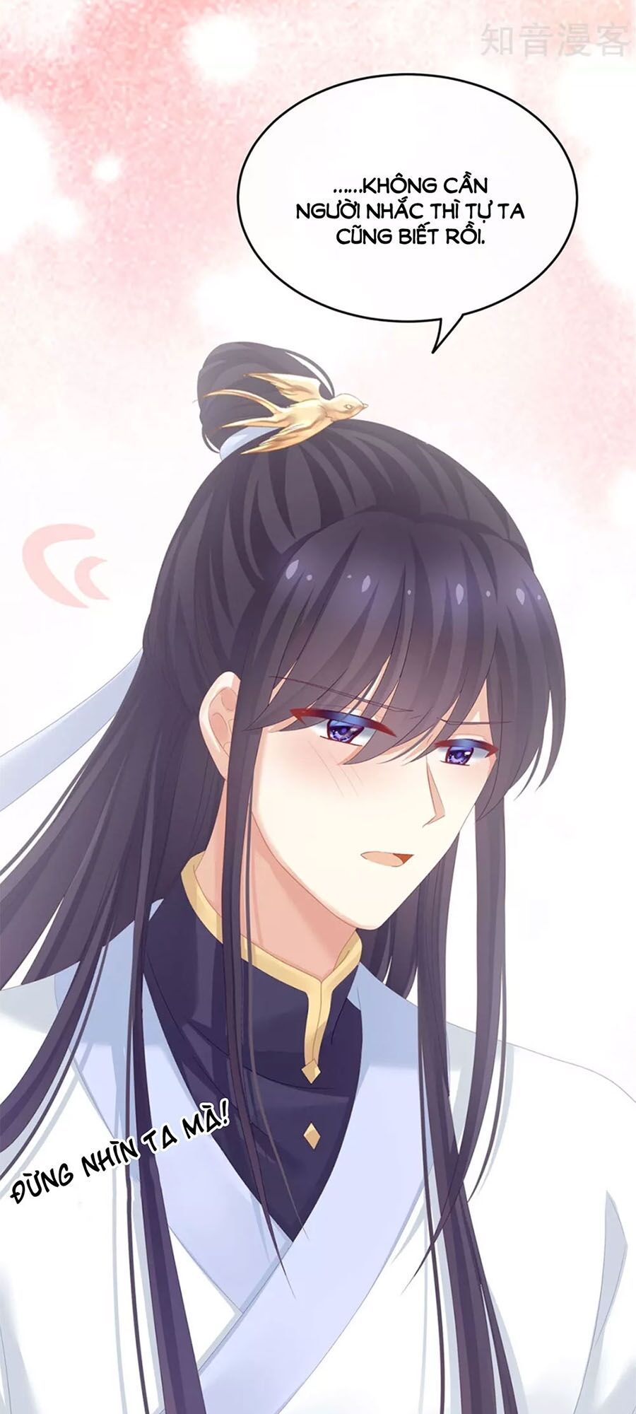 đọc truyện Hậu Cung Của Nữ Đế Chương 154 ảnh 11 tại Thiên Thai Truyện