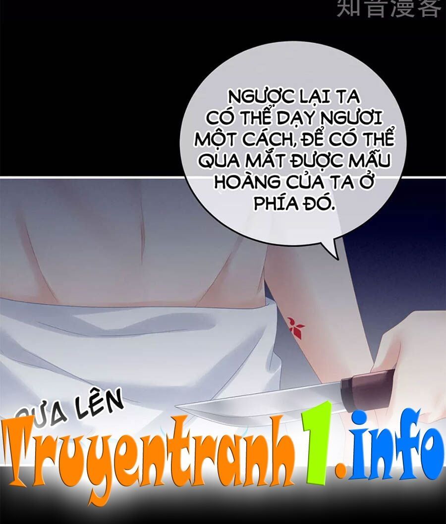 đọc truyện Hậu Cung Của Nữ Đế Chương 164 ảnh 17 tại Thiên Thai Truyện