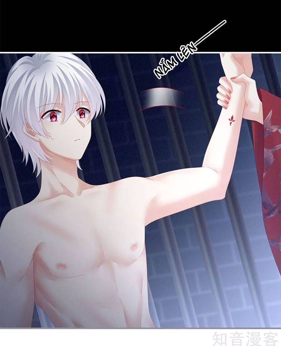 đọc truyện Hậu Cung Của Nữ Đế Chương 164 ảnh 26 tại Thiên Thai Truyện