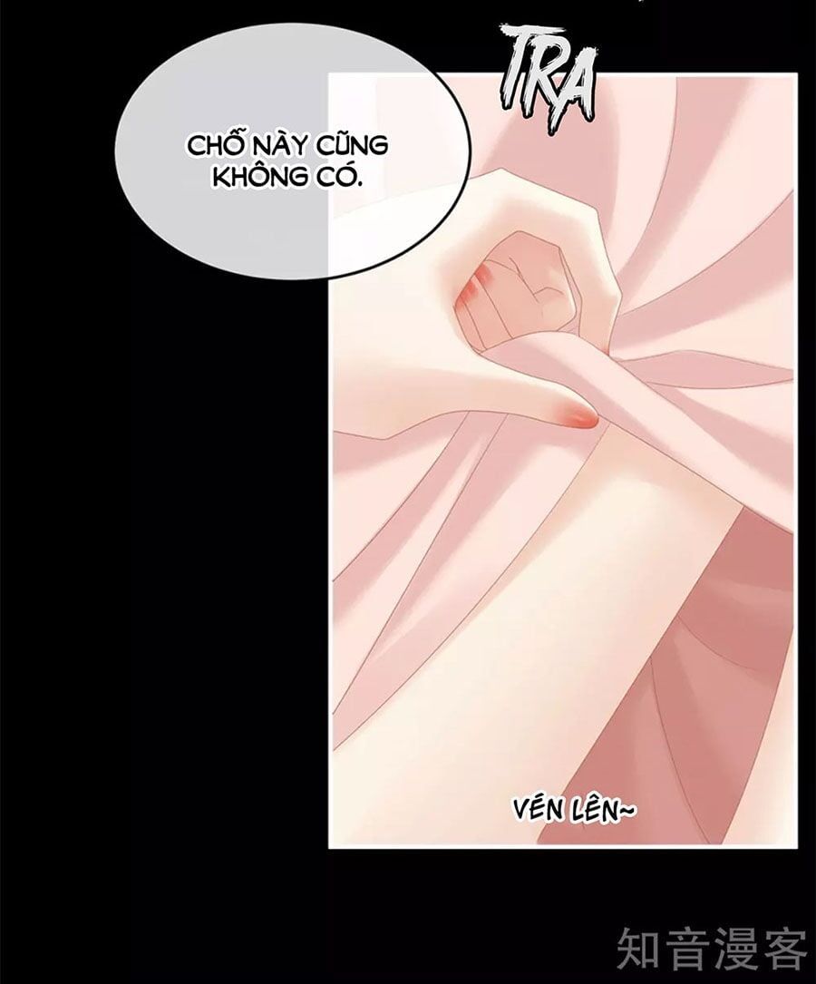 đọc truyện Hậu Cung Của Nữ Đế Chương 173 ảnh 27 tại Thiên Thai Truyện