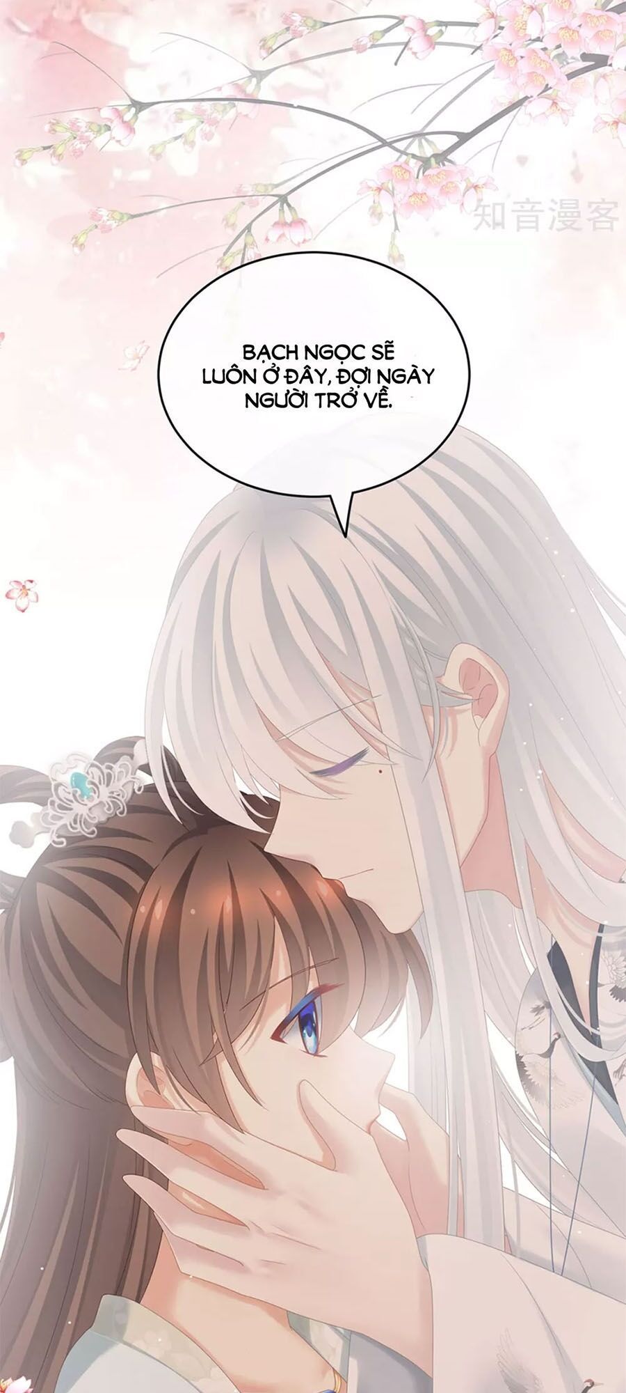 đọc truyện Hậu Cung Của Nữ Đế Chương 173 ảnh 43 tại Thiên Thai Truyện