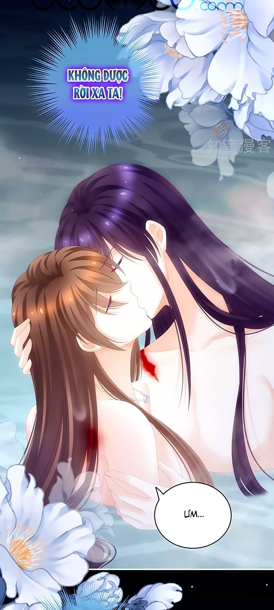 đọc truyện Hậu Cung Của Nữ Đế Chương 187 ảnh 35 tại Thiên Thai Truyện