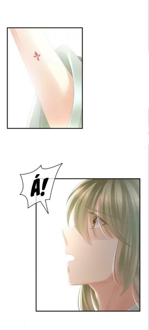 đọc truyện Hậu Cung Của Nữ Đế Chương 20 ảnh 31 tại Thiên Thai Truyện