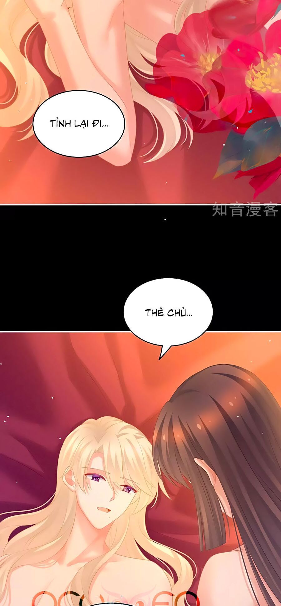 đọc truyện Hậu Cung Của Nữ Đế Chương 212 ảnh 10 tại Thiên Thai Truyện