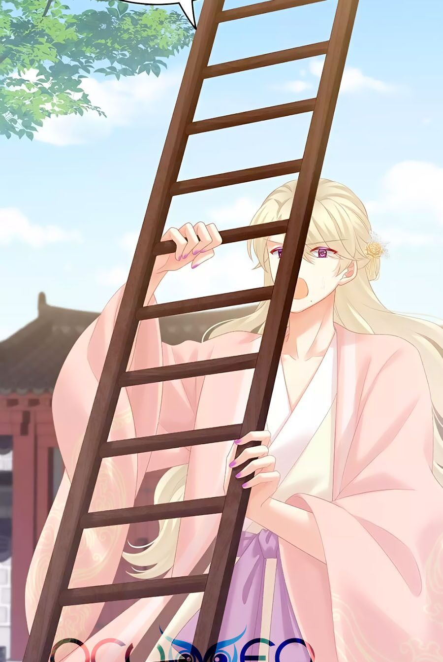 đọc truyện Hậu Cung Của Nữ Đế Chương 217 ảnh 42 tại Thiên Thai Truyện