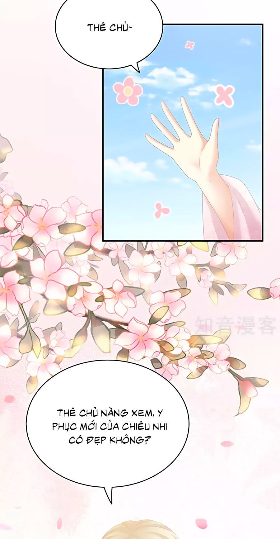 đọc truyện Hậu Cung Của Nữ Đế Chương 220 ảnh 16 tại Thiên Thai Truyện