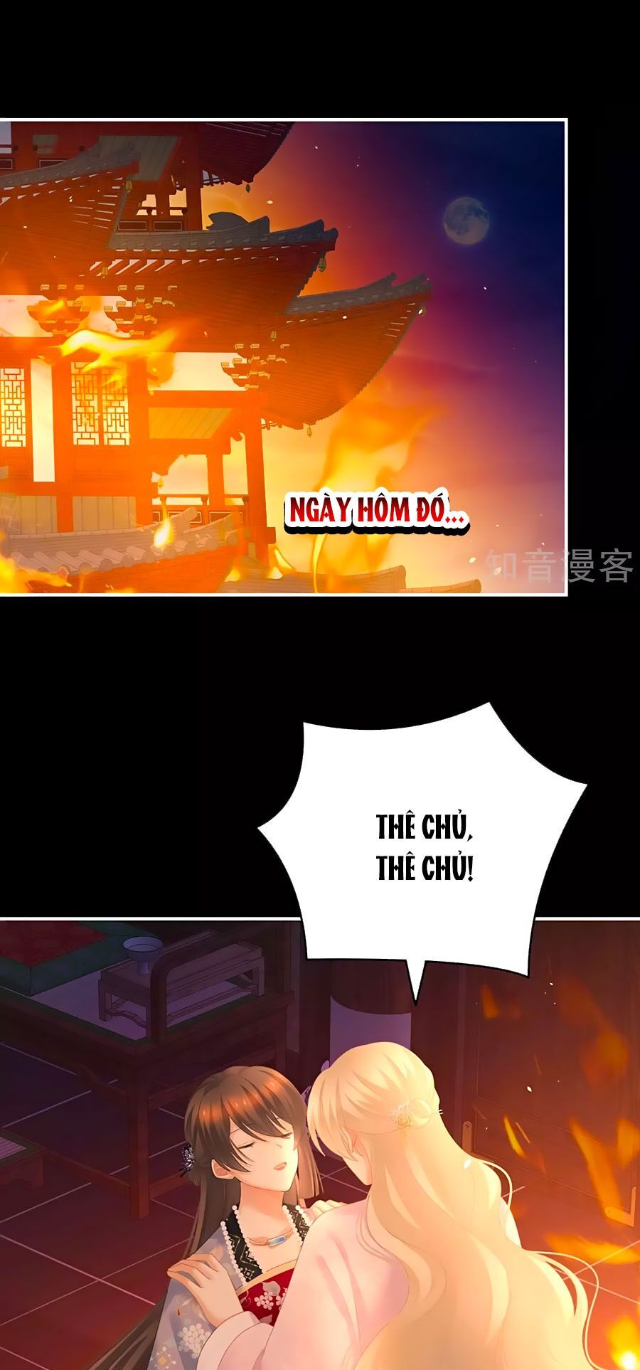 đọc truyện Hậu Cung Của Nữ Đế Chương 223 ảnh 3 tại Thiên Thai Truyện