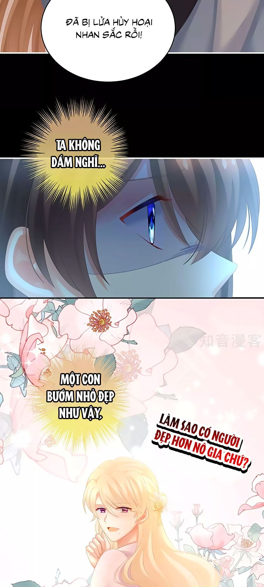 đọc truyện Hậu Cung Của Nữ Đế Chương 223 ảnh 14 tại Thiên Thai Truyện