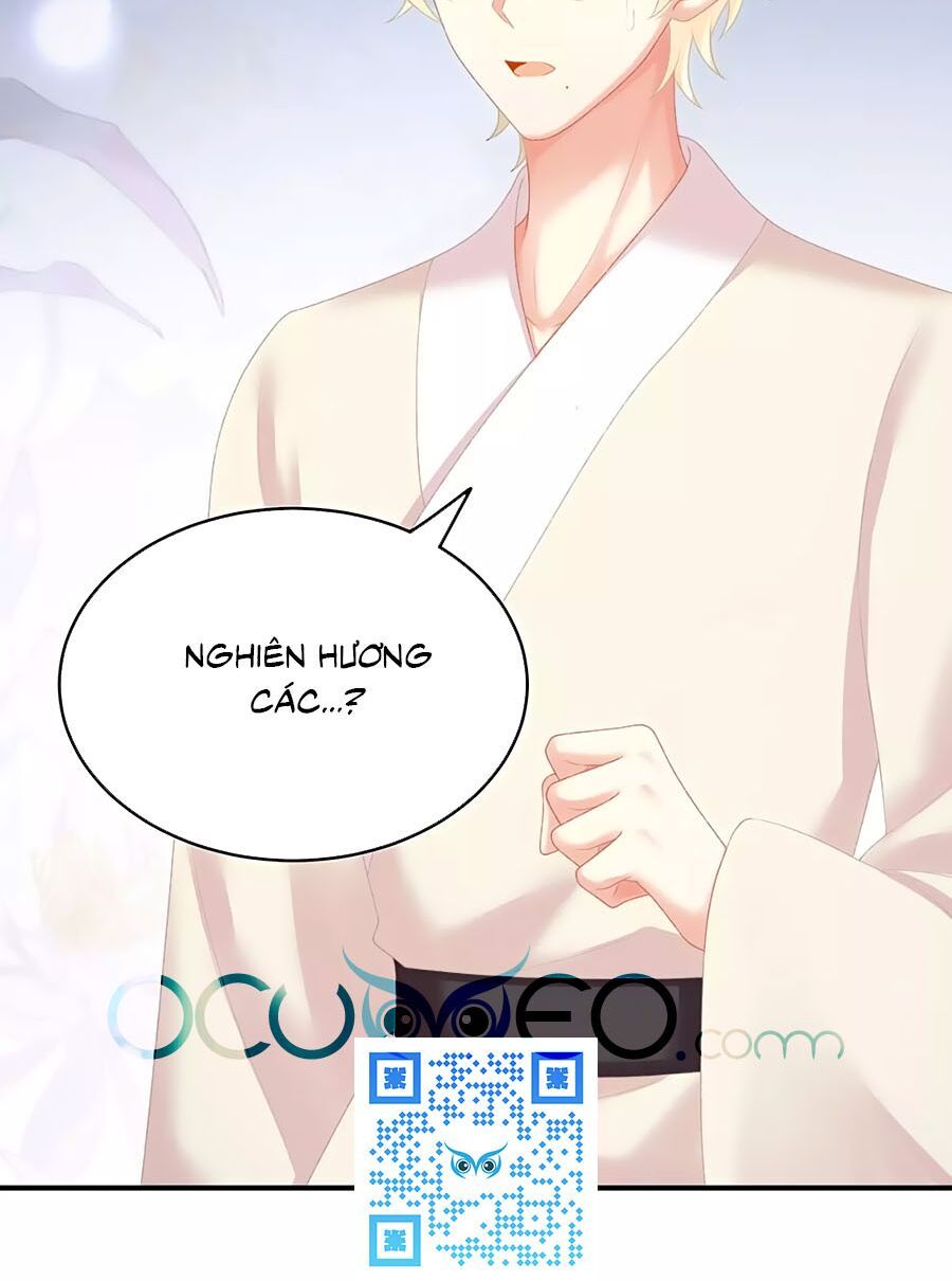 đọc truyện Hậu Cung Của Nữ Đế Chương 226 ảnh 38 tại Thiên Thai Truyện