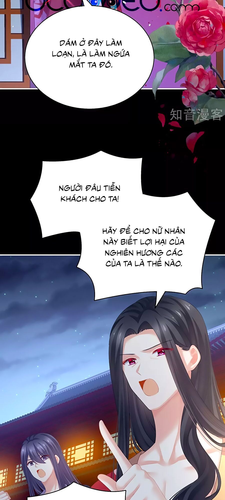 đọc truyện Hậu Cung Của Nữ Đế Chương 227 ảnh 36 tại Thiên Thai Truyện