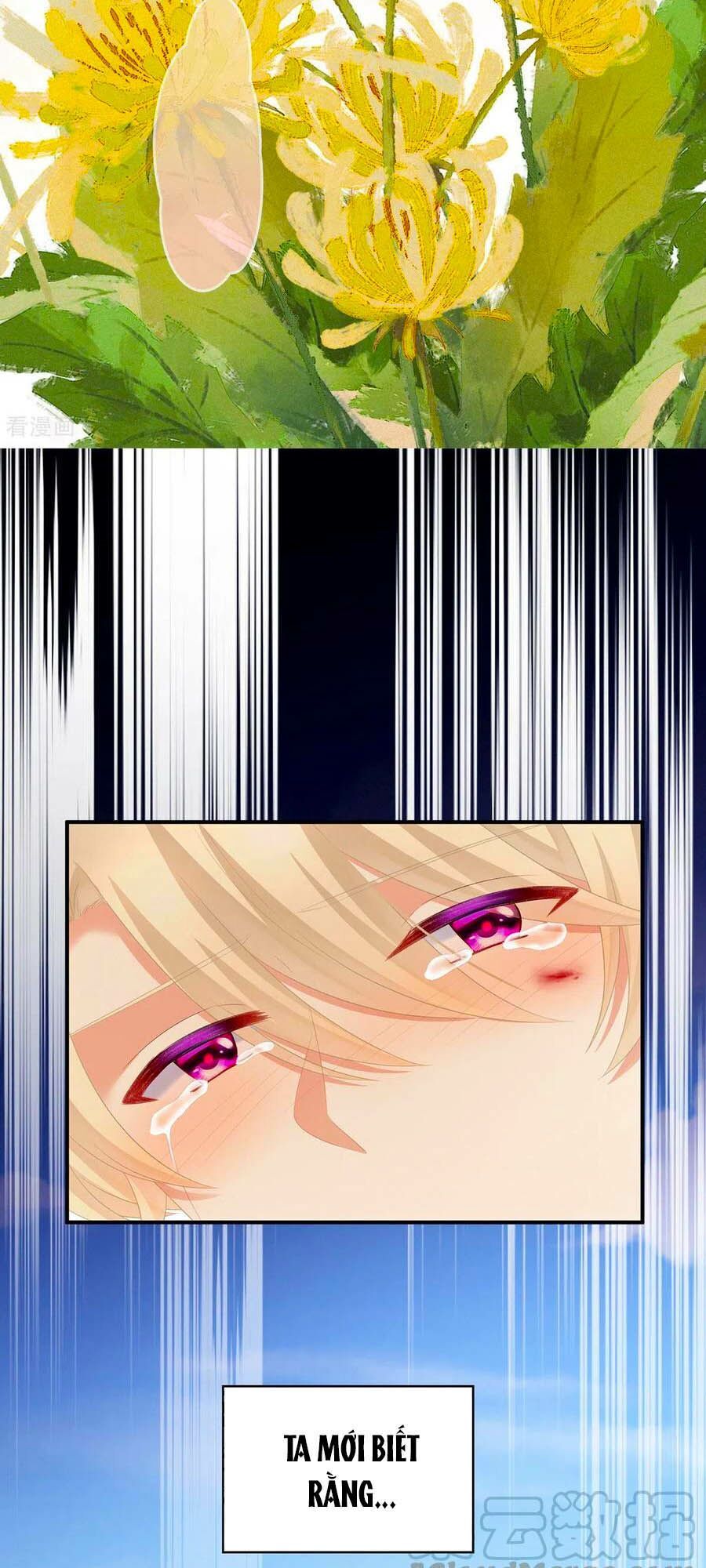 đọc truyện Hậu Cung Của Nữ Đế Chương 229 ảnh 5 tại Thiên Thai Truyện