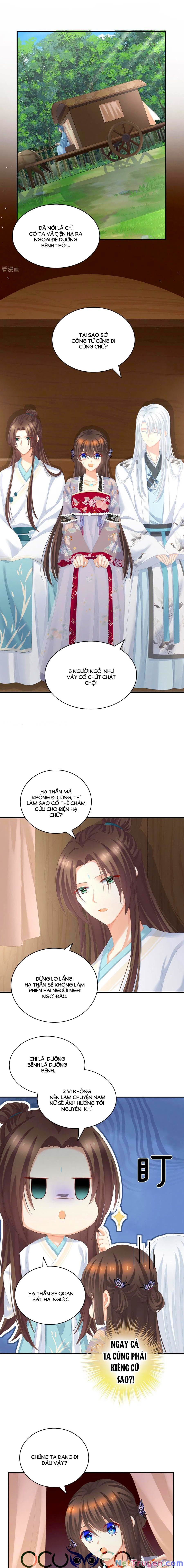 đọc truyện Hậu Cung Của Nữ Đế Chương 233 ảnh 5 tại Thiên Thai Truyện