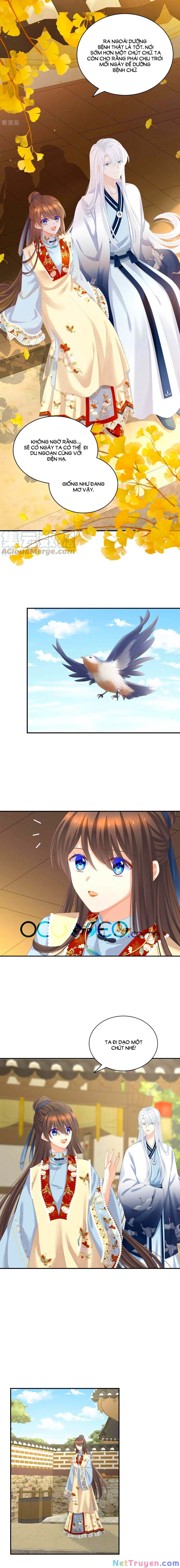 đọc truyện Hậu Cung Của Nữ Đế Chương 233 ảnh 7 tại Thiên Thai Truyện