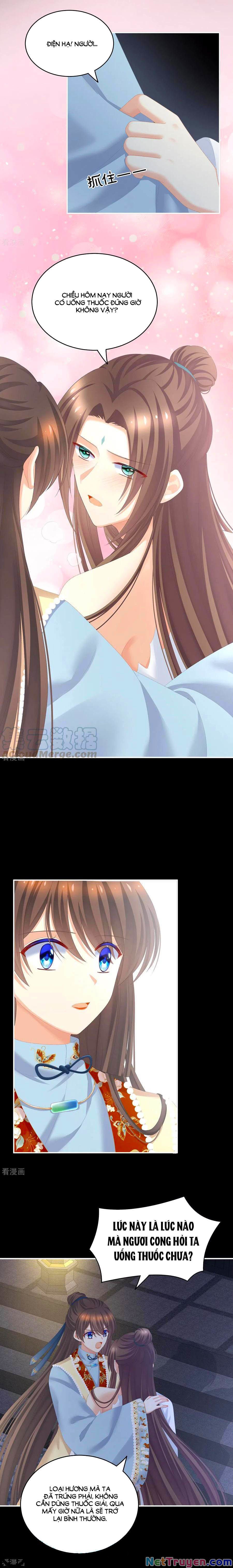 đọc truyện Hậu Cung Của Nữ Đế Chương 238 ảnh 5 tại Thiên Thai Truyện