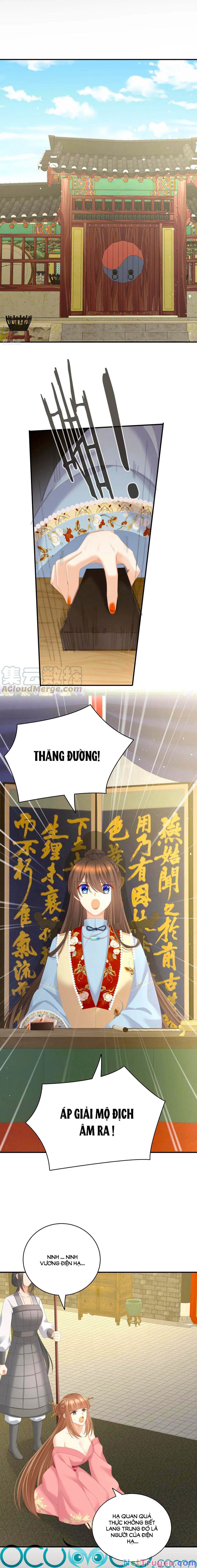 đọc truyện Hậu Cung Của Nữ Đế Chương 238 ảnh 11 tại Thiên Thai Truyện