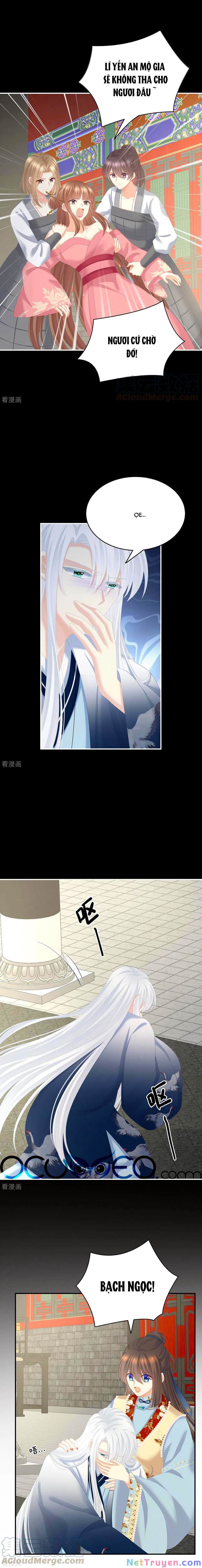 đọc truyện Hậu Cung Của Nữ Đế Chương 239 ảnh 12 tại Thiên Thai Truyện