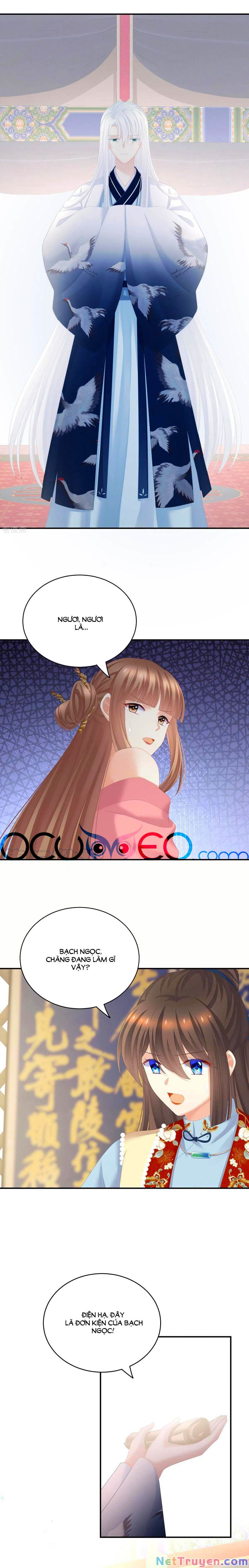 đọc truyện Hậu Cung Của Nữ Đế Chương 239 ảnh 8 tại Thiên Thai Truyện