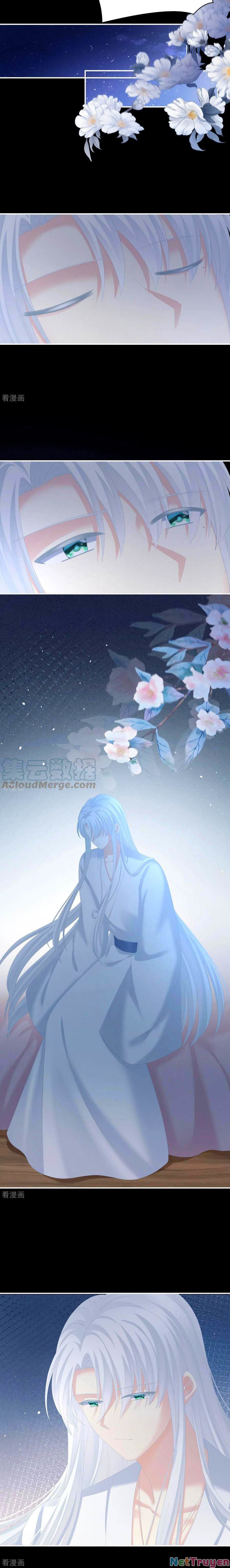 đọc truyện Hậu Cung Của Nữ Đế Chương 240 ảnh 5 tại Thiên Thai Truyện