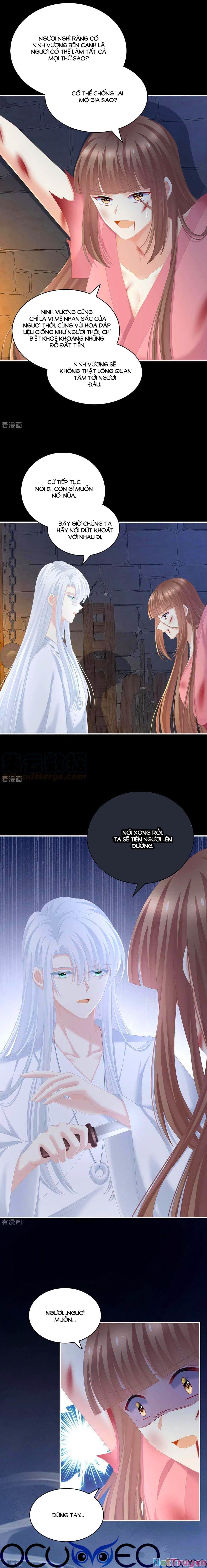 đọc truyện Hậu Cung Của Nữ Đế Chương 240 ảnh 8 tại Thiên Thai Truyện