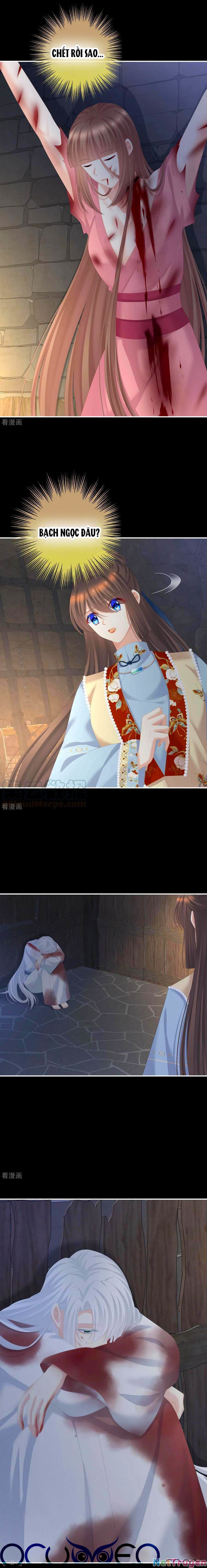 đọc truyện Hậu Cung Của Nữ Đế Chương 240 ảnh 11 tại Thiên Thai Truyện