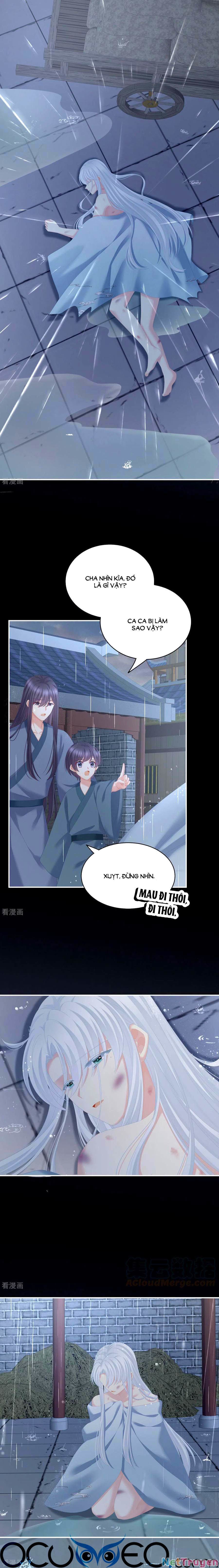 đọc truyện Hậu Cung Của Nữ Đế Chương 241 ảnh 13 tại Thiên Thai Truyện