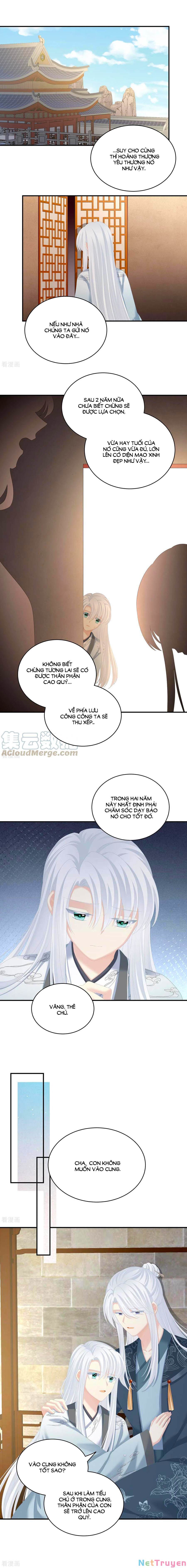 đọc truyện Hậu Cung Của Nữ Đế Chương 241 ảnh 5 tại Thiên Thai Truyện