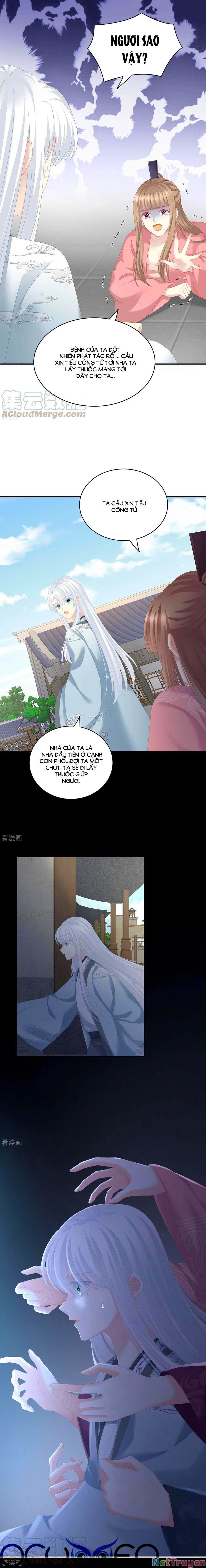 đọc truyện Hậu Cung Của Nữ Đế Chương 241 ảnh 9 tại Thiên Thai Truyện