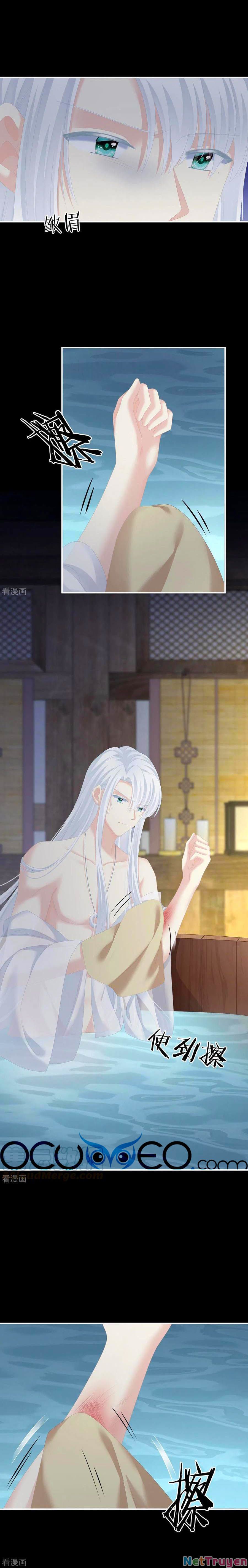 đọc truyện Hậu Cung Của Nữ Đế Chương 242 ảnh 3 tại Thiên Thai Truyện