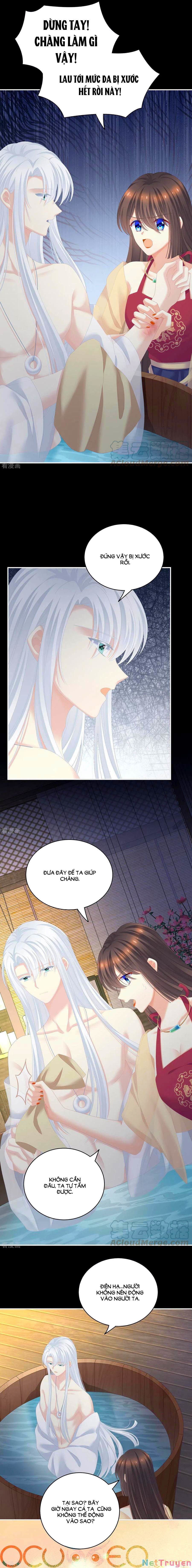 đọc truyện Hậu Cung Của Nữ Đế Chương 242 ảnh 4 tại Thiên Thai Truyện