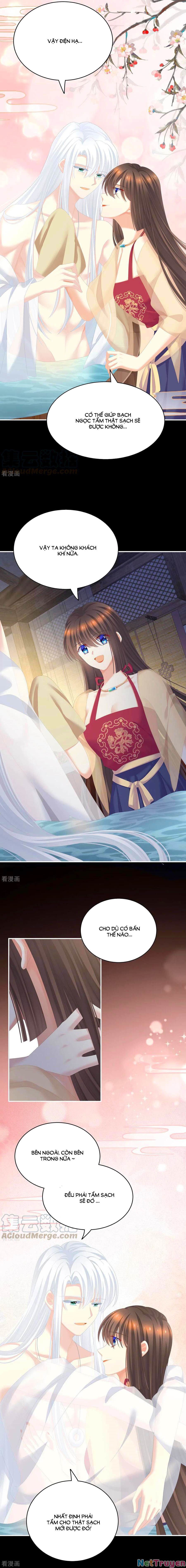 đọc truyện Hậu Cung Của Nữ Đế Chương 242 ảnh 6 tại Thiên Thai Truyện