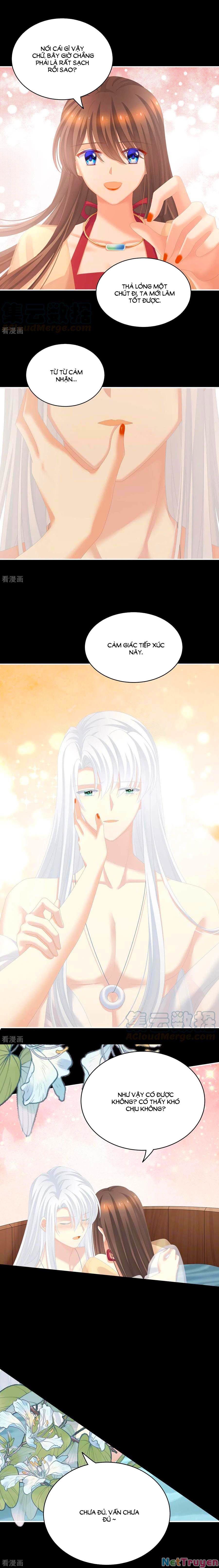 đọc truyện Hậu Cung Của Nữ Đế Chương 242 ảnh 7 tại Thiên Thai Truyện