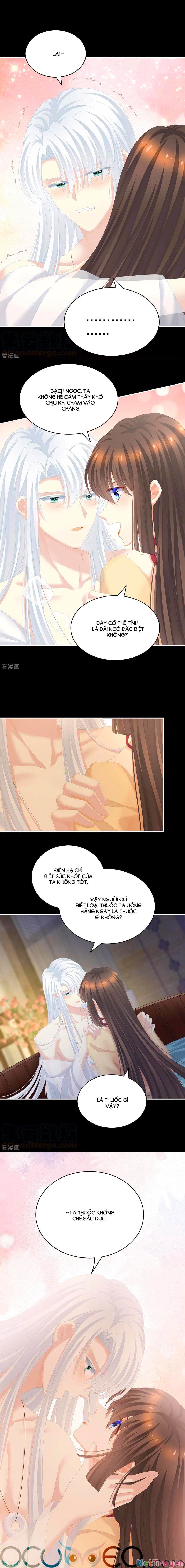 đọc truyện Hậu Cung Của Nữ Đế Chương 242 ảnh 8 tại Thiên Thai Truyện