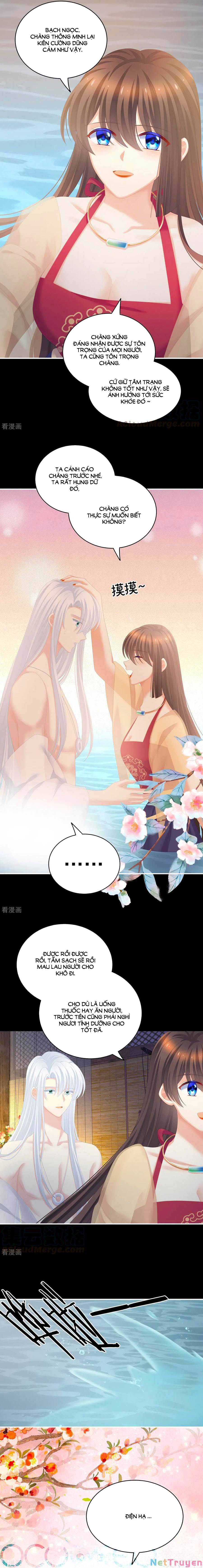 đọc truyện Hậu Cung Của Nữ Đế Chương 242 ảnh 11 tại Thiên Thai Truyện