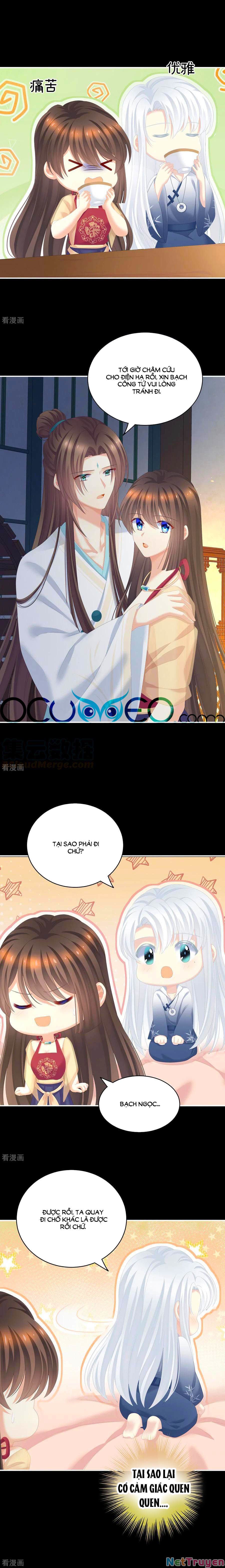 đọc truyện Hậu Cung Của Nữ Đế Chương 243 ảnh 5 tại Thiên Thai Truyện