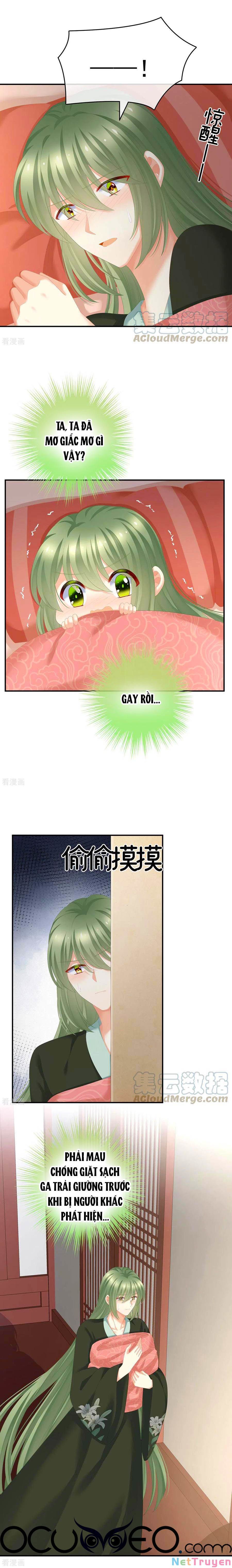 đọc truyện Hậu Cung Của Nữ Đế Chương 244 ảnh 4 tại Thiên Thai Truyện