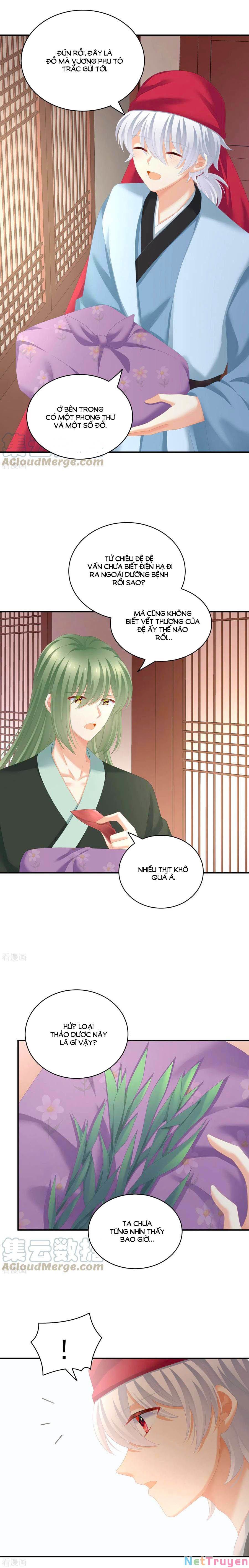 đọc truyện Hậu Cung Của Nữ Đế Chương 244 ảnh 6 tại Thiên Thai Truyện