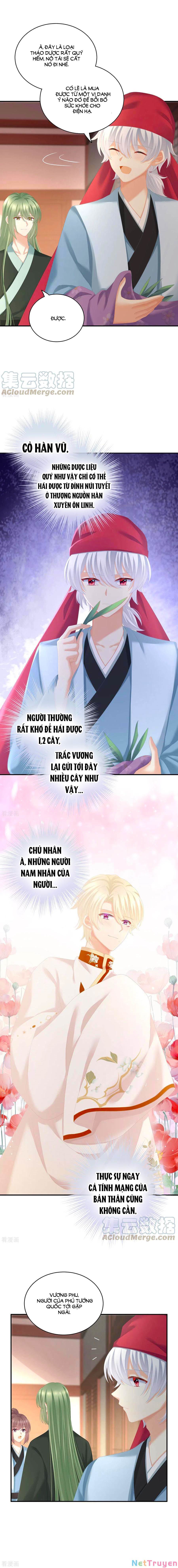 đọc truyện Hậu Cung Của Nữ Đế Chương 244 ảnh 7 tại Thiên Thai Truyện