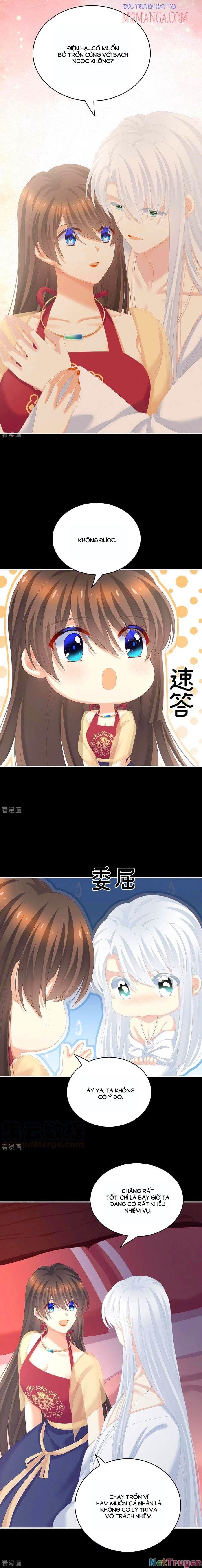 đọc truyện Hậu Cung Của Nữ Đế Chương 245 ảnh 4 tại Thiên Thai Truyện