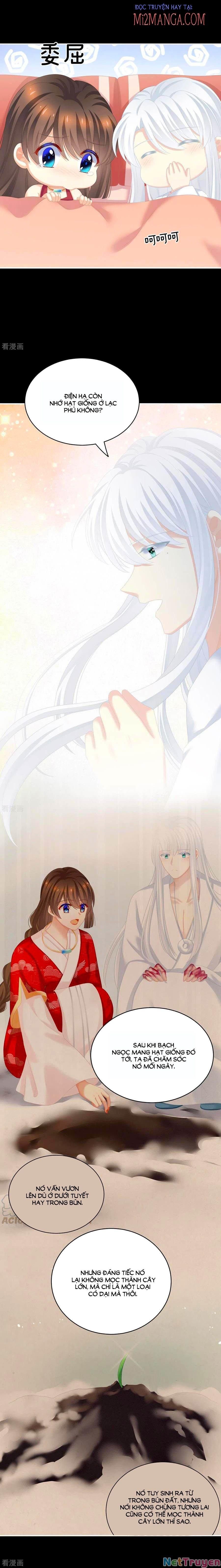 đọc truyện Hậu Cung Của Nữ Đế Chương 245 ảnh 10 tại Thiên Thai Truyện