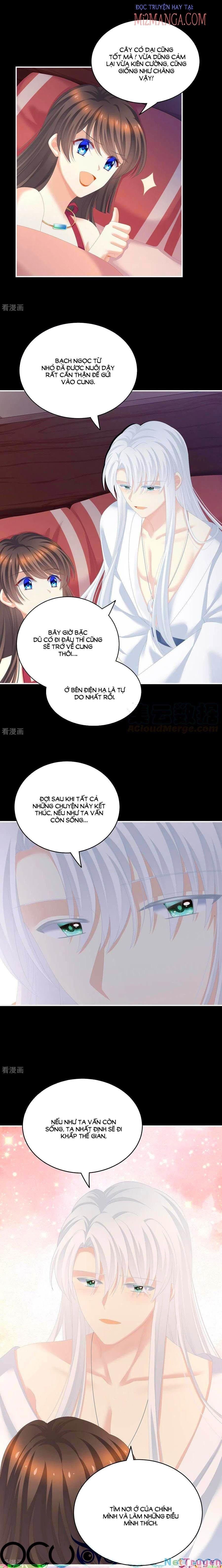 đọc truyện Hậu Cung Của Nữ Đế Chương 245 ảnh 11 tại Thiên Thai Truyện