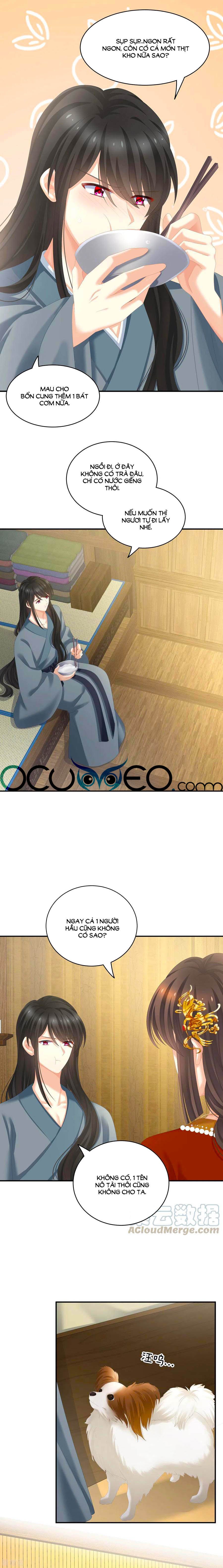 đọc truyện Hậu Cung Của Nữ Đế Chương 249 ảnh 4 tại Thiên Thai Truyện