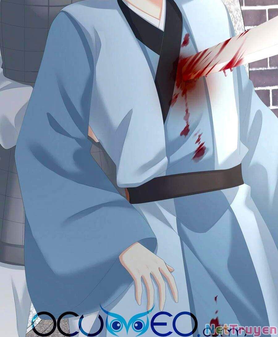 đọc truyện Hậu Cung Của Nữ Đế Chương 250 ảnh 16 tại Thiên Thai Truyện