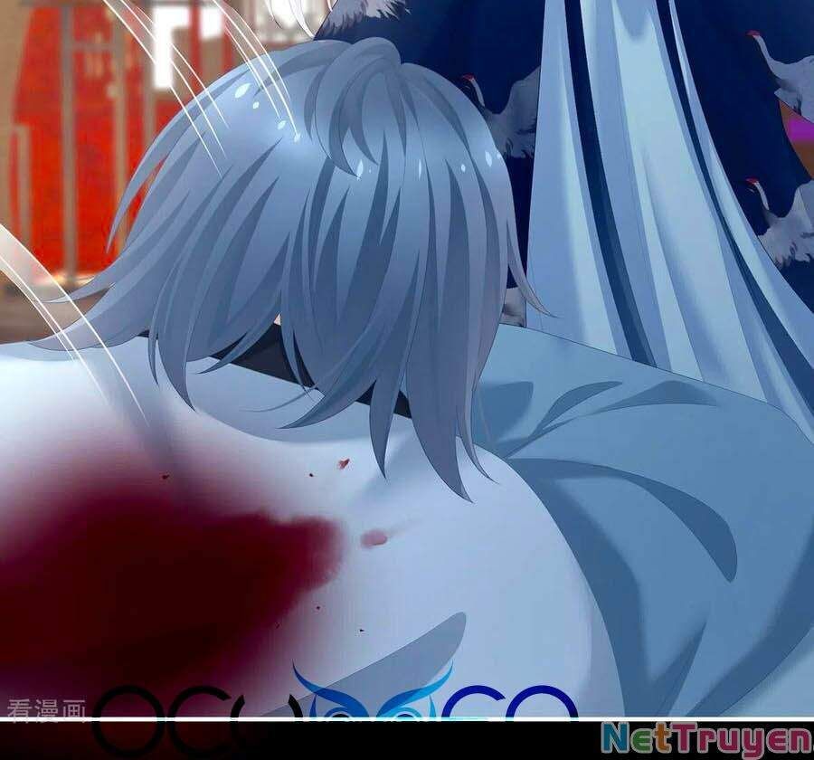 đọc truyện Hậu Cung Của Nữ Đế Chương 250 ảnh 20 tại Thiên Thai Truyện