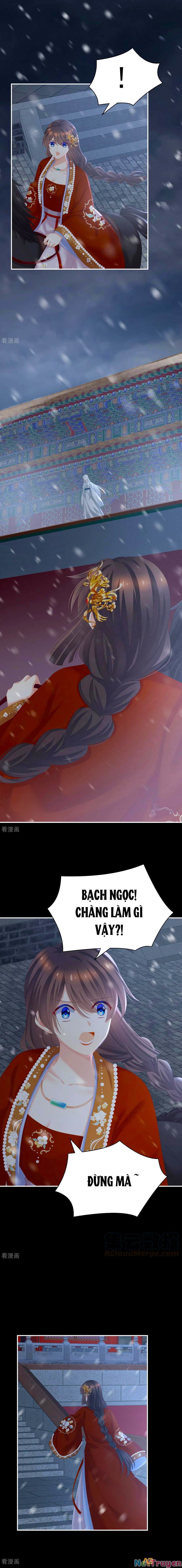 đọc truyện Hậu Cung Của Nữ Đế Chương 251 ảnh 3 tại Thiên Thai Truyện