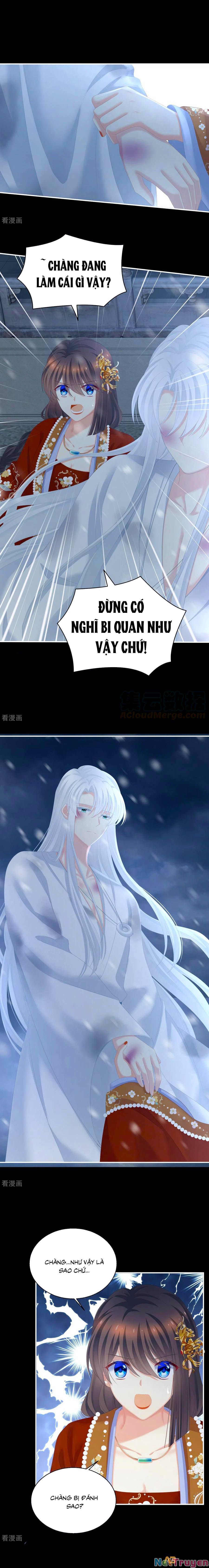 đọc truyện Hậu Cung Của Nữ Đế Chương 251 ảnh 4 tại Thiên Thai Truyện