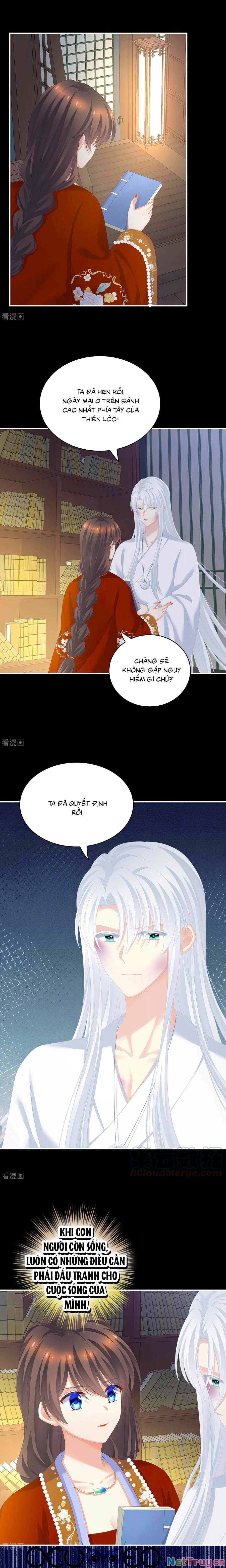 đọc truyện Hậu Cung Của Nữ Đế Chương 252 ảnh 3 tại Thiên Thai Truyện