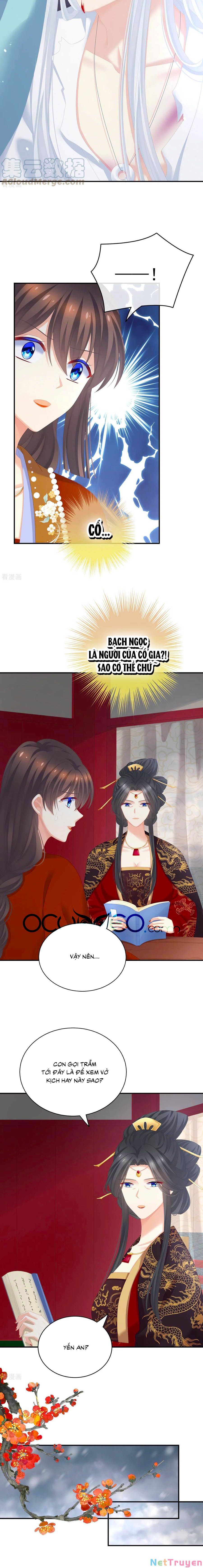 đọc truyện Hậu Cung Của Nữ Đế Chương 252 ảnh 12 tại Thiên Thai Truyện